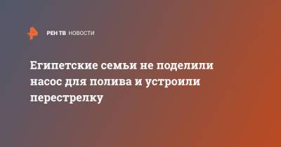 Египетские семьи не поделили насос для полива и устроили перестрелку - ren.tv - Египет