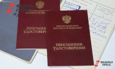 Виталий Милонов - Коллекторов предложили лишить пенсий - fedpress.ru - Москва