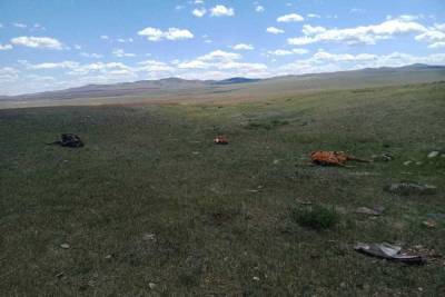 Инцидент с нелегальными скотомогильниками в Бурятии набирает обороты - ulan.mk.ru - респ.Бурятия