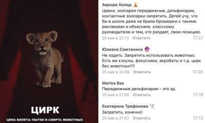 Наглядно о том, почему необходимо запретить цирки с животными (и что думают об этом жители Карелии) - gubdaily.ru - Новосибирск - Петрозаводск - республика Карелия