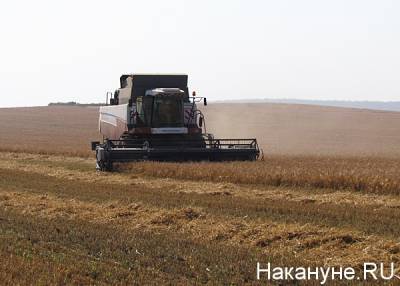 Росгидромет спрогнозировал летнюю засуху в трех уральских регионах - nakanune.ru - Челябинская обл. - Кемеровская обл. - Алтайский край - Свердловская обл. - Курганская обл. - Новосибирская обл. - Омская обл.