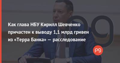 Владимир Зеленский - Кирилл Шевченко - Как глава НБУ Кирилл Шевченко причастен к выводу 1,1 млрд гривен из «Терра Банка» — расследование - thepage.ua - Австрия - Украина