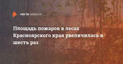 Площадь пожаров в лесах Красноярского края увеличилась в шесть раз - ren.tv - Красноярский край - Кызыл - Енисейск