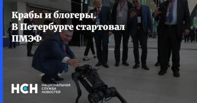 Максим Орешкин - Герман Греф - Сергей Кириенко - Эльвира Набиуллина - Даниил Егоров - Дмитрий Григоренко - Крабы и блогеры. В Петербурге стартовал ПМЭФ - nsn.fm - Санкт-Петербург - Пмэф - Форум