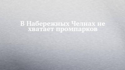 Наиль Магдеев - В Набережных Челнах не хватает промпарков - chelny-izvest.ru - Набережные Челны - Камаз