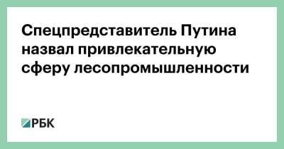 Владимир Путин - Сергей Иванов - Спецпредставитель Путина назвал привлекательную сферу лесопромышленности - smartmoney.one