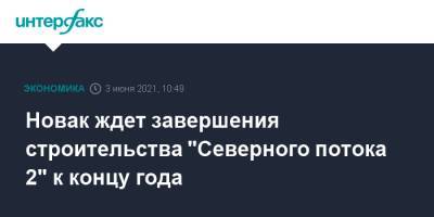 Александр Новак - Новак ждет завершения строительства "Северного потока 2" к концу года - interfax.ru - Москва - США