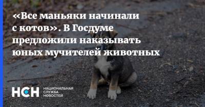 Владимир Бурматов - «Все маньяки начинали с котов». В Госдуме предложили наказывать юных мучителей животных - nsn.fm