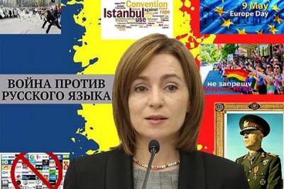 Майя Санду - Санду не пресекает призывы к расовой чистке Молдавии - eadaily.com - Молдавия