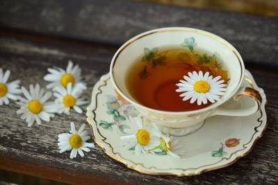 Ирина Писарева - Диетолог рекомендовала отказаться от употребления чая и кофе в летнюю жару - vm.ru