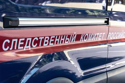 Александр Бастрыкин - У прокатчиков электросамокатов Петербурга прошли обыски из-за наезда на ребенка - lenta.ru - Санкт-Петербург - Брянская обл.