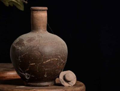 Ученые раскрыли тайну 2000-летнего горшка с куриными костями, найденного в Греции - actualnews.org - Греция