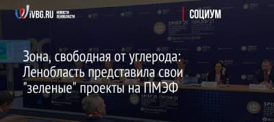 Зона, свободная от углерода: Ленобласть представила свои «зеленые» проекты на ПМЭФ - ivbg.ru - Ленинградская обл. - Пмэф