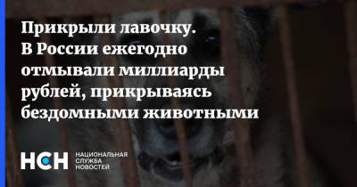 Владимир Бурматов - Прикрыли лавочку. В России ежегодно отмывали миллиарды рублей, прикрываясь бездомными животными - nsn.fm - респ.Бурятия
