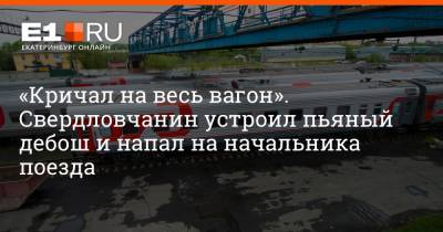 Артем Устюжанин - «Кричал на весь вагон». Свердловчанин устроил пьяный дебош и напал на начальника поезда - e1.ru - Екатеринбург