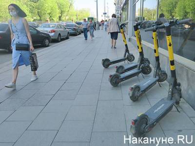 Александр Бастрыкин - В Петербурге проходят обыски в сервисах аренды самокатов - nakanune.ru - Санкт-Петербург