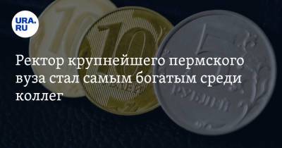 Ректор крупнейшего пермского вуза стал самым богатым среди коллег - ura.news - Пермь