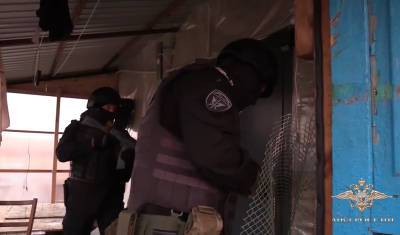 В Белгородской области супруги занимались аферами с онлайн-торговлей - newizv.ru - Белгородская обл.
