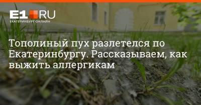 Артем Устюжанин - Тополиный пух разлетелся по Екатеринбургу. Рассказываем, как выжить аллергикам - e1.ru - Екатеринбург