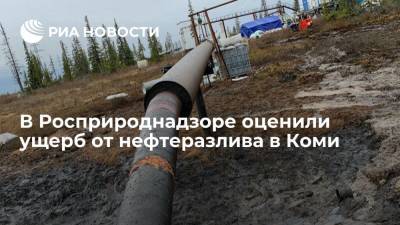 Светлана Радионова - В Росприроднадзоре оценили ущерб от нефтеразлива в Коми - ria.ru - Россия - Санкт-Петербург - респ. Коми