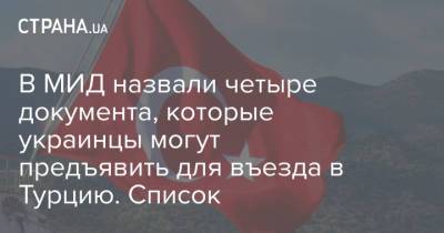 Олег Николенко - В МИД назвали четыре документа, которые украинцы могут предъявить для въезда в Турцию. Список - strana.ua - Турция