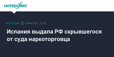Ирина Волк - Испания выдала РФ скрывшегося от суда наркоторговца - interfax.ru - Москва - Нижегородская обл. - Испания