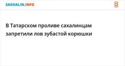 В Татарском проливе сахалинцам запретили лов зубастой корюшки - sakhalin.info - Приморье край - Сахалинская обл.