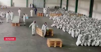 В Испании изъяли 862 кг кокаина, замаскированного под уголь - grodnonews.by - Колумбия - Испания