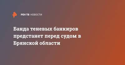 Ирина Волк - Банда теневых банкиров предстанет перед судом в Брянской области - ren.tv - Брянская обл.