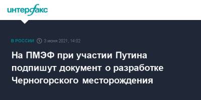 Владимир Путин - Дмитрий Песков - На ПМЭФ при участии Путина подпишут документ о разработке Черногорского месторождения - interfax.ru - Москва - Красноярский край - Санкт-Петербург - Пмэф
