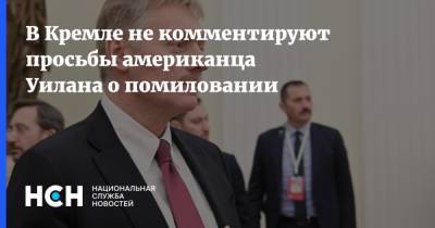 Владимир Путин - Дмитрий Песков - Пол Уилан - В Кремле не комментируют просьбы американца Уилана о помиловании - nsn.fm - США - Швейцария - республика Мордовия