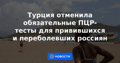 Турция отменила обязательные ПЦР-тесты для привившихся и переболевших россиян - news.mail.ru - Турция - Бразилия - Афганистан - Пакистан - Юар - Бангладеш - Шри Ланка - Непал