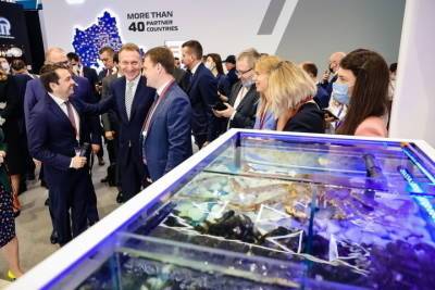 Андрей Чибис - К представленному на ПМЭФ-2021 проекту «Новый Мурманск» проявили интерес крупные игроки - murmansk.mk.ru - Мурманск