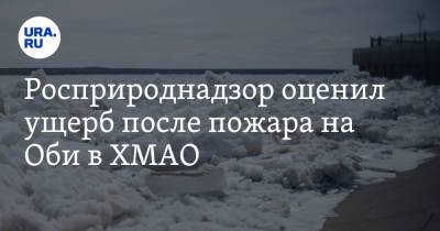 Росприроднадзор оценил ущерб после пожара на Оби в ХМАО - ura.news - Югра - Нижневартовск