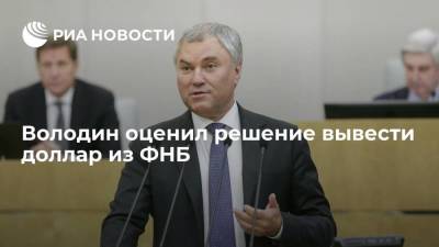Вячеслав Володин - Антон Силуанов - Володин оценил решение вывести доллар из ФНБ - smartmoney.one - Иран