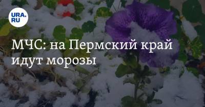 МЧС: на Пермский край идут морозы - ura.news - Башкирия - Кировская обл. - Свердловская обл. - респ. Удмуртия - Пермский край