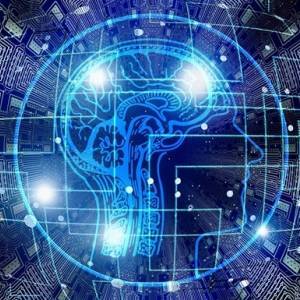 Компания Google совместно с учеными оцифровали часть человеческого мозга. Фото. Видео - reporter-ua.com