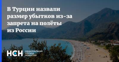 В Турции назвали размер убытков из-за запрета на полёты из России - nsn.fm - Австрия - Россия - Турция - Венгрия - Анкара - Хорватия - Люксембург - Марокко - Ливан - Танзания - Маврикий