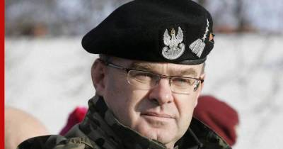 Вальдемар Скшипчак - Смертоносное оружие будущего у России нашел польский генерал - profile.ru - Россия - Польша