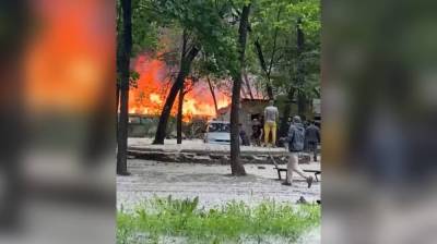 В Воронеже во дворе жилого дома вспыхнули сараи: появилось видео - vestivrn.ru - Воронеж