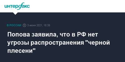 Анна Попова - Попова заявила, что в РФ нет угрозы распространения "черной плесени" - interfax.ru - Москва