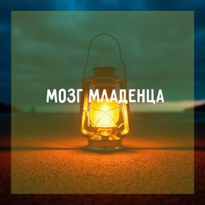 Мозг младенца - skuke.net