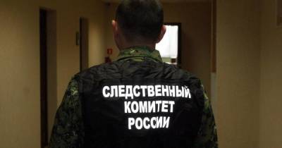В калининградском СНТ незнакомец изнасиловал 10-летнего мальчика - klops.ru - Калининград