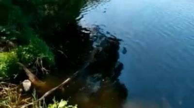 В Чемодановке расчистят ложе пруда на реке Инре - penzainform.ru - район Бессоновский