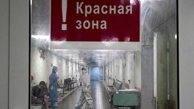 Анна Попова - Попова назвала самый распространенный в России штамм COVID-19 - iz.ru
