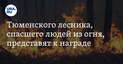 Тюменского лесника, спасшего людей из огня, представят к награде - ura.news