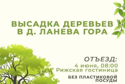Михаил Ведерников - Псковичей приглашают принять участие в высадке деревьев - mk-pskov.ru - Псковская обл. - Псков