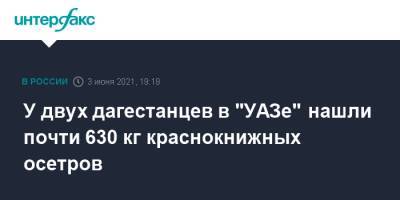У двух дагестанцев в "УАЗе" нашли почти 630 кг краснокнижных осетров - interfax.ru - Москва - респ. Дагестан - Кизляр - район Кизлярский