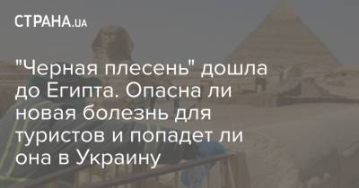 "Черная плесень" дошла до Египта. Опасна ли новая болезнь для туристов и попадет ли она в Украину - strana.ua - Египет - Ирак - Индия