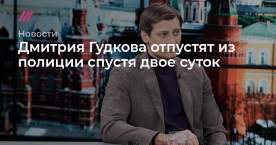 Дмитрий Гудков - Ирина Ермилова - Дмитрия Гудкова отпустили из полиции спустя двое суток - tvrain.ru - Москва
